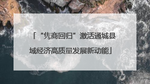 “隽商回归”激活通城县域经济高质量发展新动能