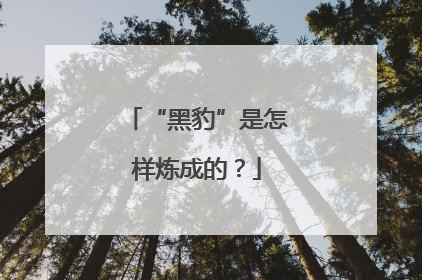 “黑豹”是怎样炼成的？