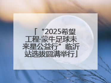 “2025希望工程·蒙牛足球未来星公益行”临沂站选拔圆满举行