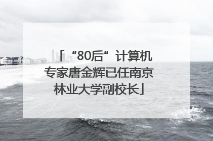 “80后”计算机专家唐金辉已任南京林业大学副校长