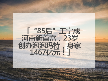 “85后”王宁成河南新首富，23岁创办泡泡玛特，身家1467亿元！