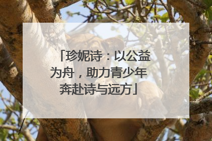 珍妮诗：以公益为舟，助力青少年奔赴诗与远方