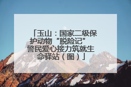 玉山：国家二级保护动物“脱险记” 警民爱心接力筑就生命驿站（图）