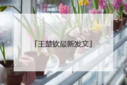 王楚钦最新发文