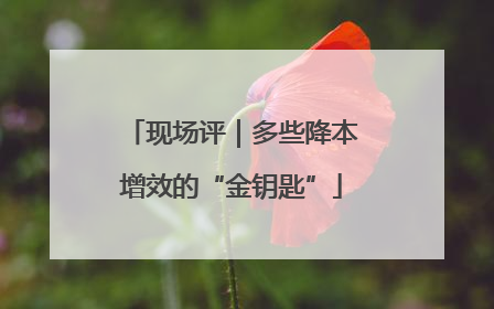 现场评｜多些降本增效的“金钥匙”