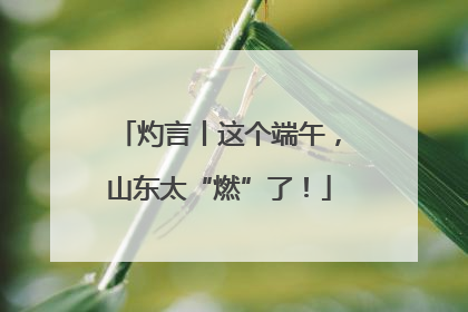 灼言丨这个端午，山东太“燃”了！