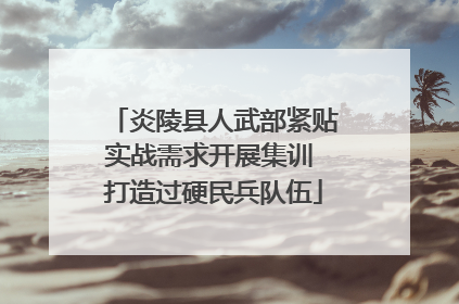 炎陵县人武部紧贴实战需求开展集训 打造过硬民兵队伍