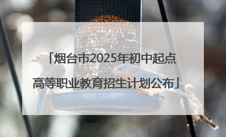 烟台市2025年初中起点高等职业教育招生计划公布