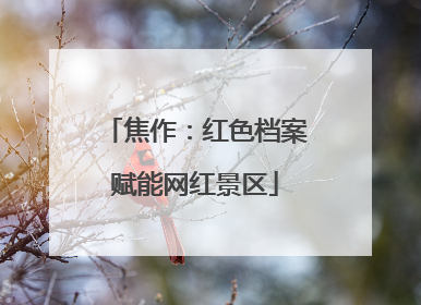 焦作：红色档案赋能网红景区