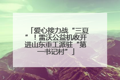 爱心接力战“三夏”！雷沃公益机收开进山东重工派驻“第一书记村”