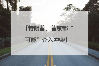 特朗普、普京都“可能”介入冲突
