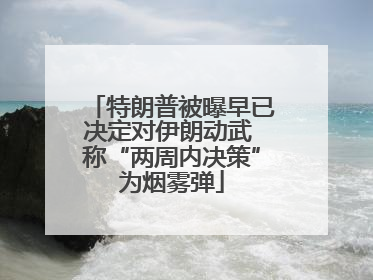 特朗普被曝早已决定对伊朗动武 称“两周内决策”为烟雾弹