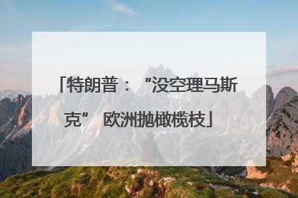 特朗普：“没空理马斯克” 欧洲抛橄榄枝