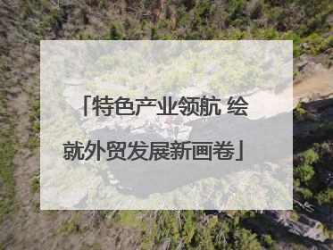 特色产业领航 绘就外贸发展新画卷