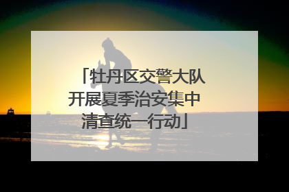 牡丹区交警大队开展夏季治安集中清查统一行动
