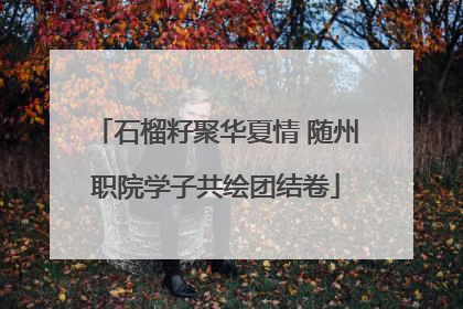 石榴籽聚华夏情 随州职院学子共绘团结卷
