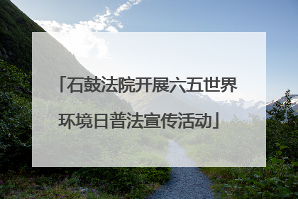 石鼓法院开展六五世界环境日普法宣传活动