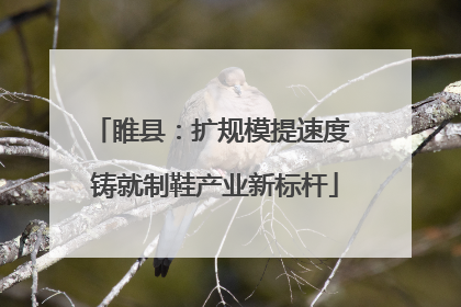 睢县：扩规模提速度 铸就制鞋产业新标杆