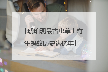 琥珀现最古虫草！寄生蚂蚁历史达亿年