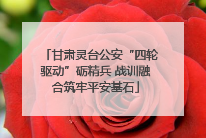 甘肃灵台公安“四轮驱动”砺精兵 战训融合筑牢平安基石