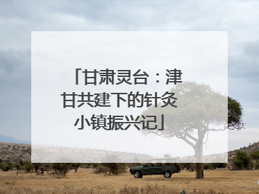 甘肃灵台：津甘共建下的针灸小镇振兴记
