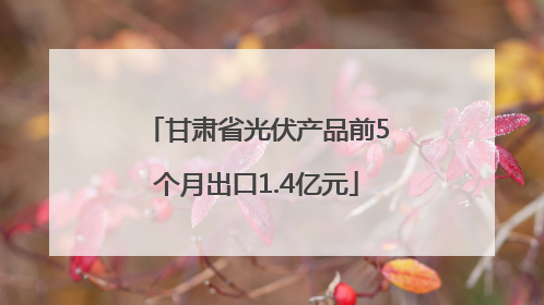 甘肃省光伏产品前5个月出口1.4亿元