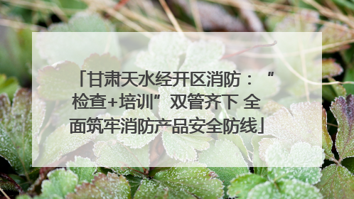甘肃天水经开区消防：“检查+培训”双管齐下 全面筑牢消防产品安全防线