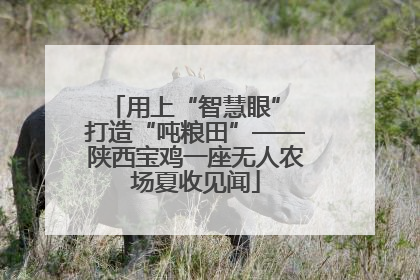 用上“智慧眼” 打造“吨粮田”——陕西宝鸡一座无人农场夏收见闻