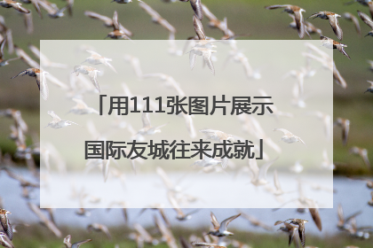用111张图片展示国际友城往来成就