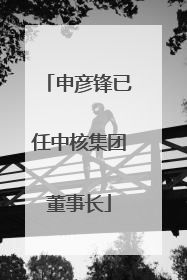 申彦锋已任中核集团董事长