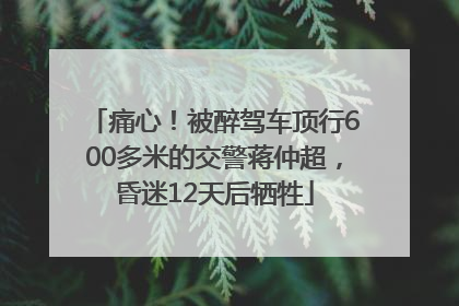 痛心！被醉驾车顶行600多米的交警蒋仲超，昏迷12天后牺牲