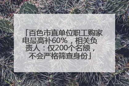 百色市直单位职工购家电最高补60％，相关负责人：仅200个名额，不会严格筛查身份