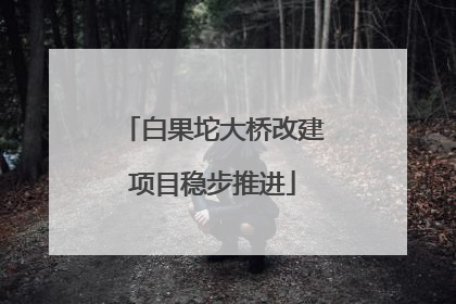 白果坨大桥改建项目稳步推进