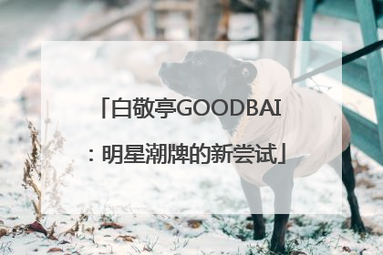 白敬亭GOODBAI：明星潮牌的新尝试