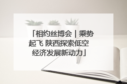 相约丝博会｜乘势起飞 陕西探索低空经济发展新动力