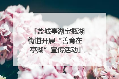盐城亭湖宝瓶湖街道开展“善育在亭湖”宣传活动