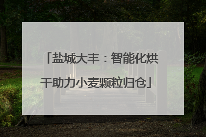 盐城大丰：智能化烘干助力小麦颗粒归仓