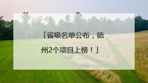 省级名单公布，德州2个项目上榜！