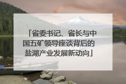 省委书记、省长与中国五矿领导座谈背后的盐湖产业发展新动向