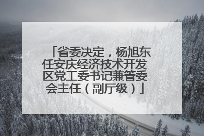 省委决定，杨旭东任安庆经济技术开发区党工委书记兼管委会主任（副厅级）