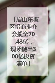 眉山东坡区招商推介会揽金70.43亿，现场抛出300亿投资清单