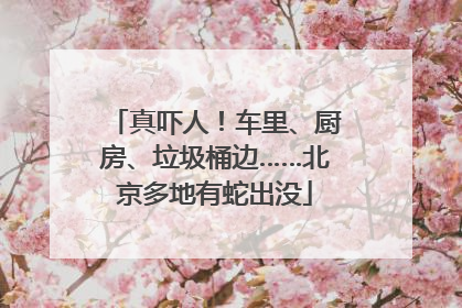 真吓人！车里、厨房、垃圾桶边……北京多地有蛇出没