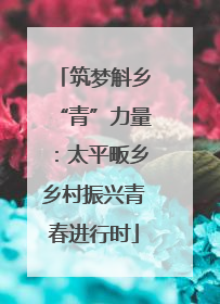 筑梦斛乡“青”力量：太平畈乡乡村振兴青春进行时