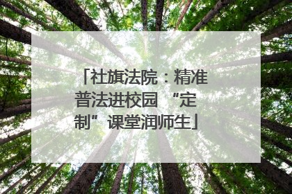 社旗法院：精准普法进校园 “定制”课堂润师生