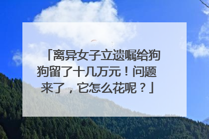 离异女子立遗嘱给狗狗留了十几万元！问题来了，它怎么花呢？