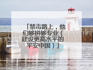 禁毒路上，他们够拼够专业（建设更高水平的平安中国）