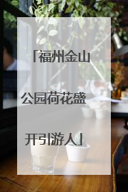 福州金山公园荷花盛开引游人