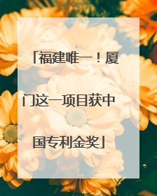 福建唯一！厦门这一项目获中国专利金奖
