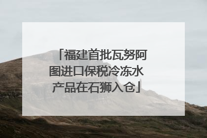 福建首批瓦努阿图进口保税冷冻水产品在石狮入仓