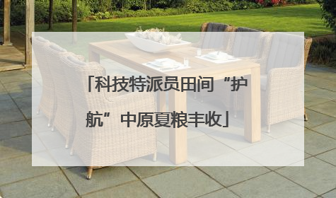 科技特派员田间“护航”中原夏粮丰收